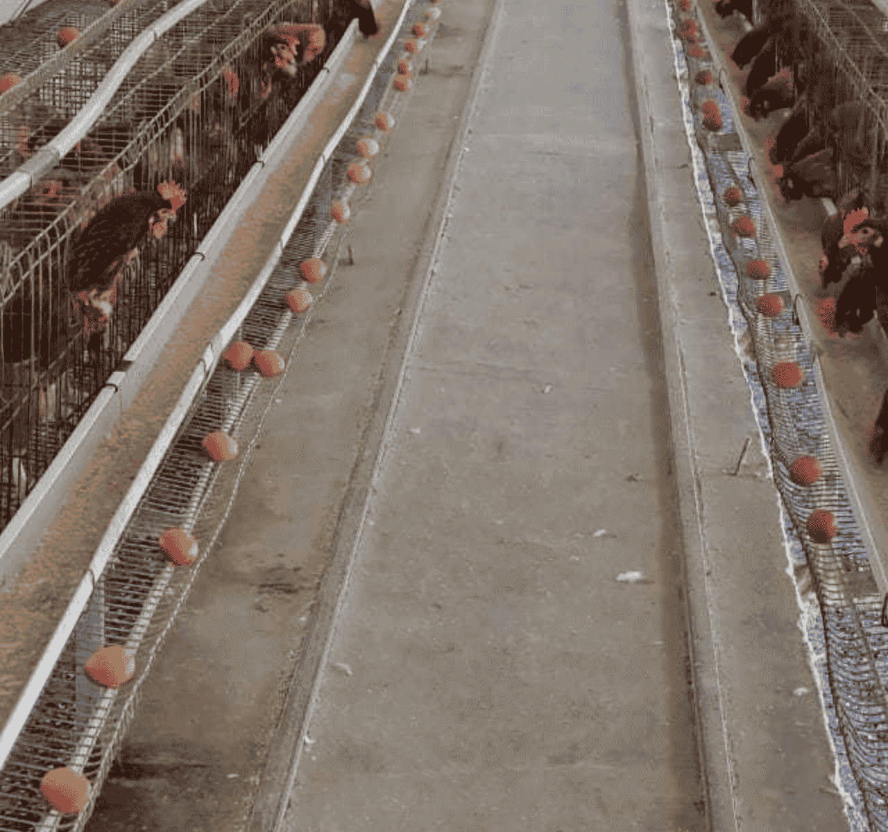 The Future of Farming The Future of Farming