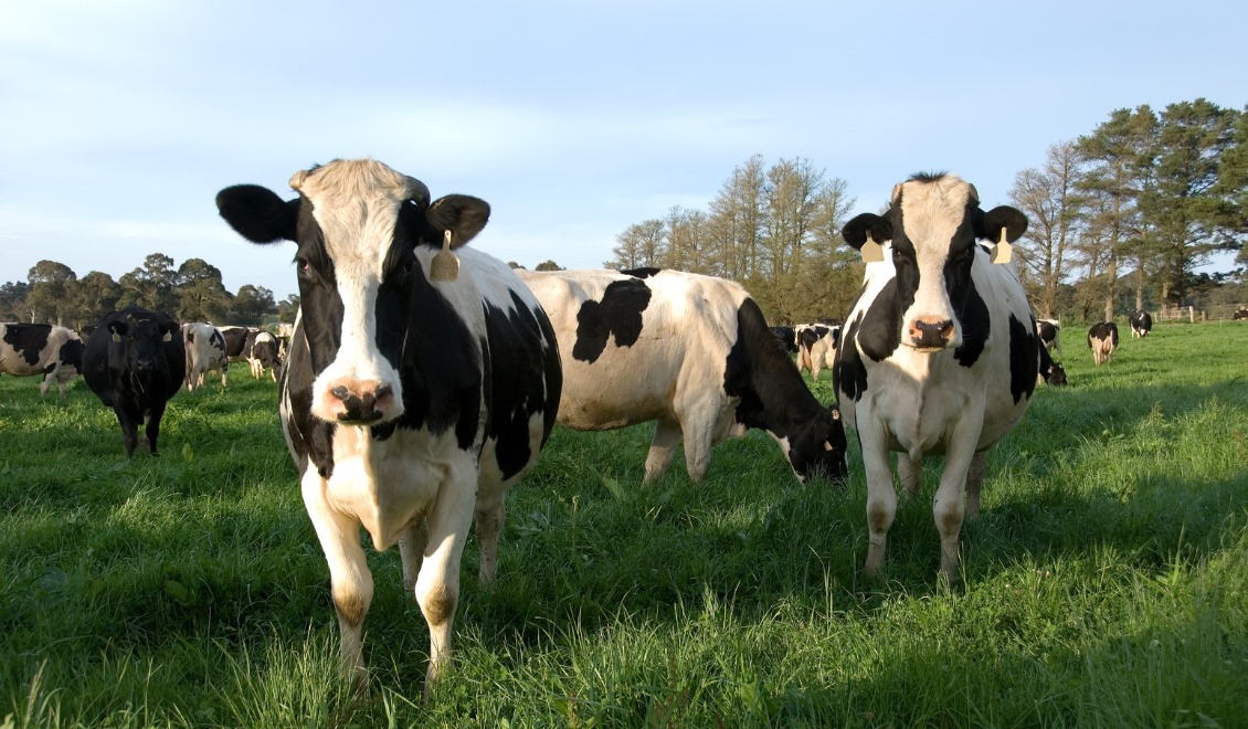 WhatsApp Image 2025-01-20 at 14.02.42_f48d234d https://sample1.fusioncodz.com/wp-content/uploads/2025/01/WhatsApp-Image-2025-01-20-at-14.02.42_f48d234d.jpg