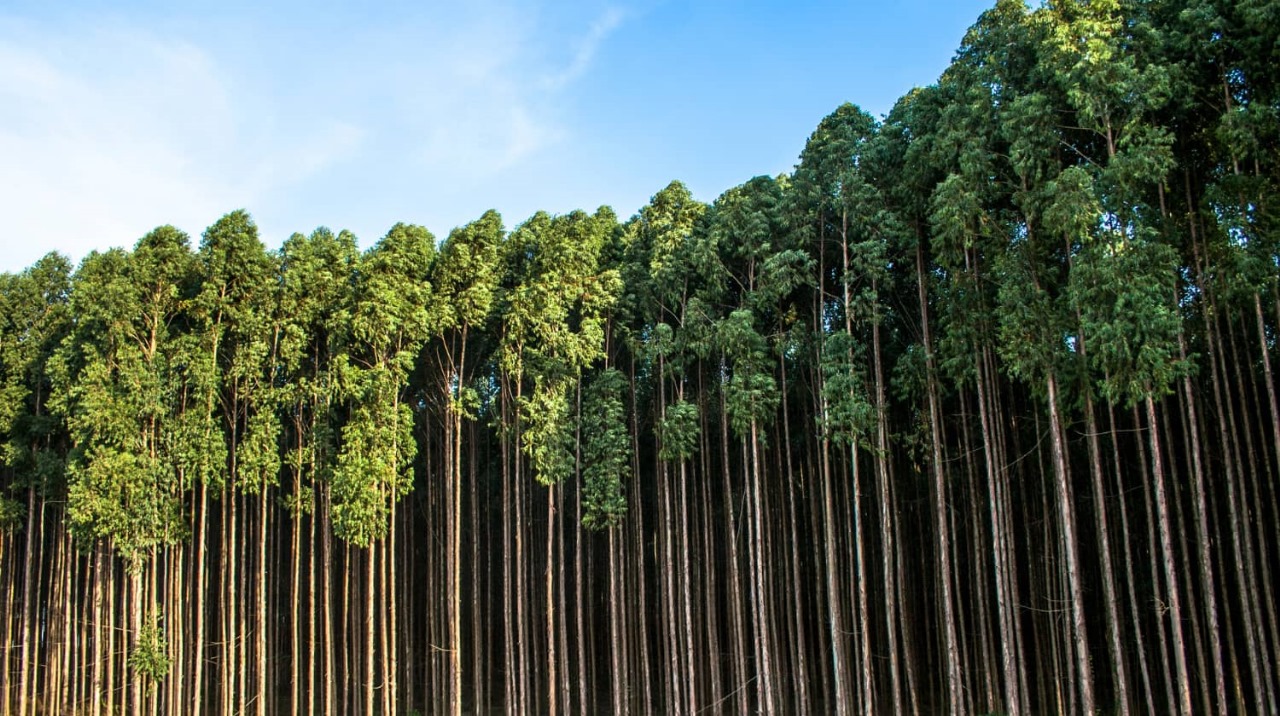 WhatsApp Image 2025-01-20 at 15.14.19_17ce10aa https://sample1.fusioncodz.com/wp-content/uploads/2025/01/WhatsApp-Image-2025-01-20-at-15.14.19_17ce10aa.jpg