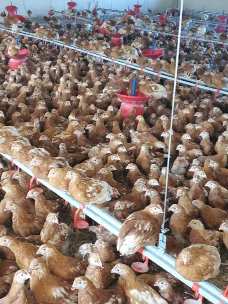 Untitled design (43) https://sample1.fusioncodz.com/wp-content/uploads/2025/02/Untitled-design-43.png