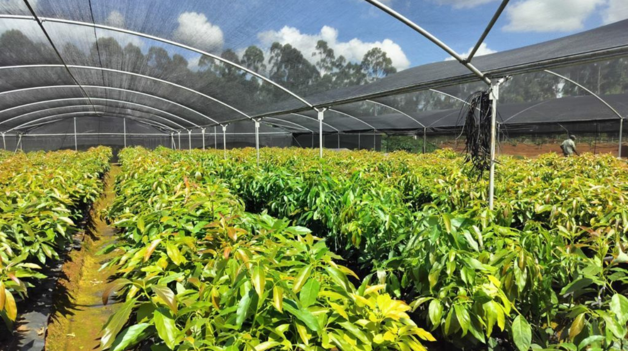 YEGEN fARM https://sample1.fusioncodz.com/wp-content/uploads/2025/02/Untitled-design-47.png